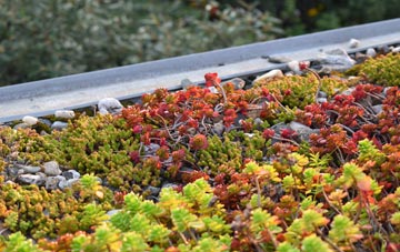 the cost of Kirby Cross green roof installation