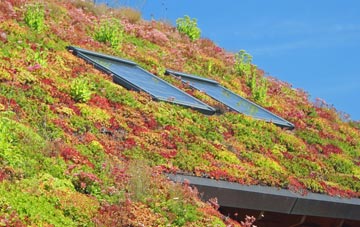 Kirby Cross living roof systems